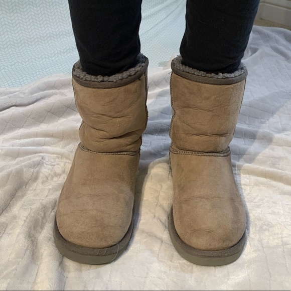 UGG Shoes - UGG Classic Short Boots Brown w/Gray Sz 6